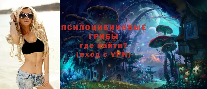 Виды наркотиков купить Чаплыгин Alpha PVP  МЕФ  Каннабис 